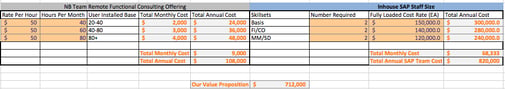 SAP Functional Consulting Business Case